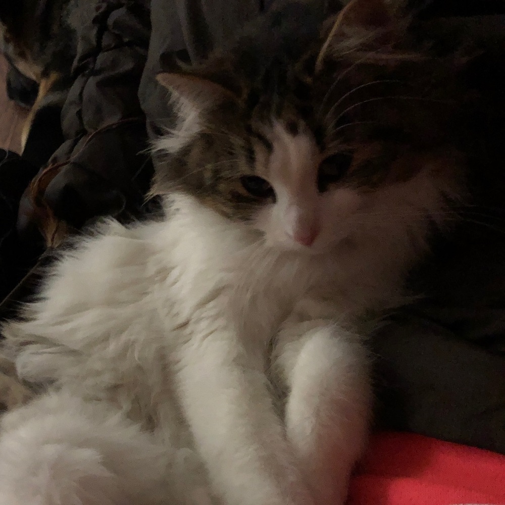 Meet your Posher, Mr